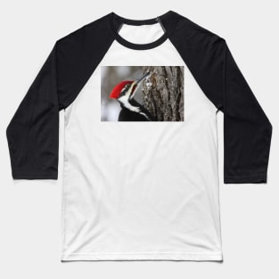 Pileated Woodpecker Baseball T-Shirt